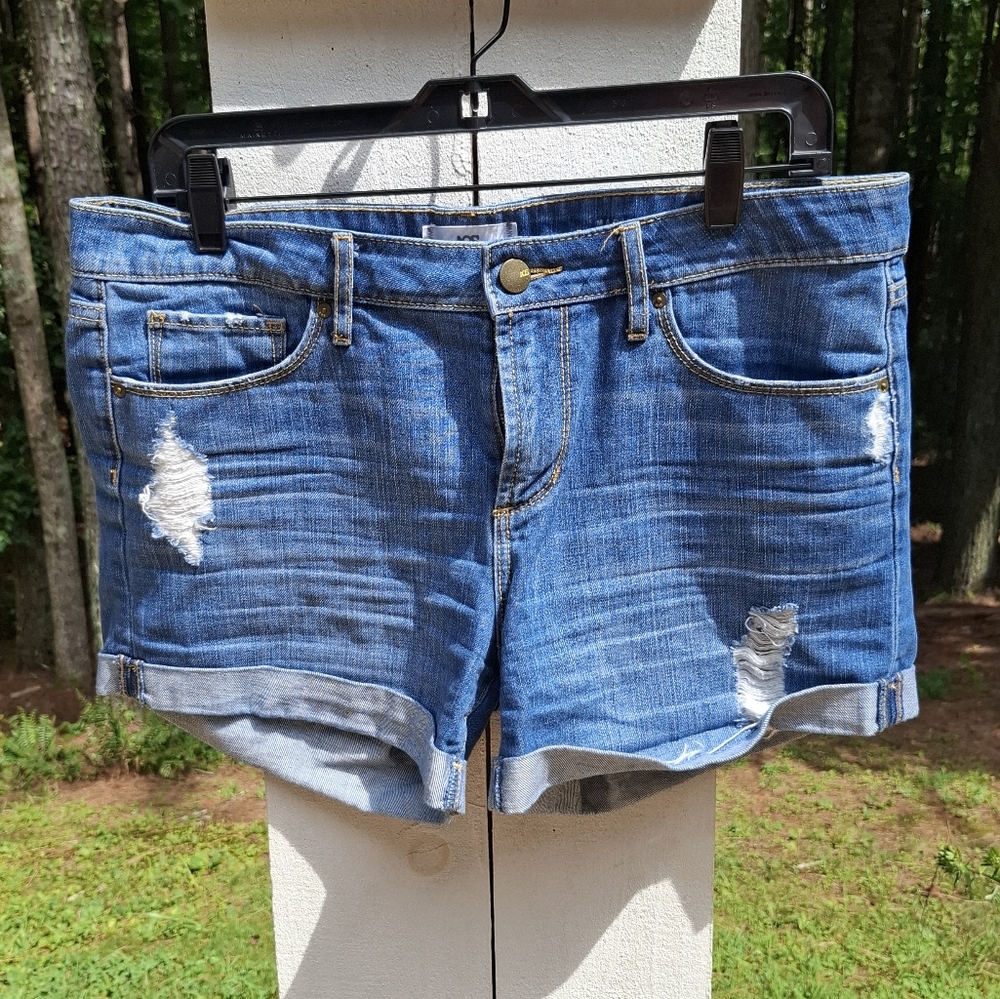 Articles of Society Denim Distressed Shorts  AOS - Size 6